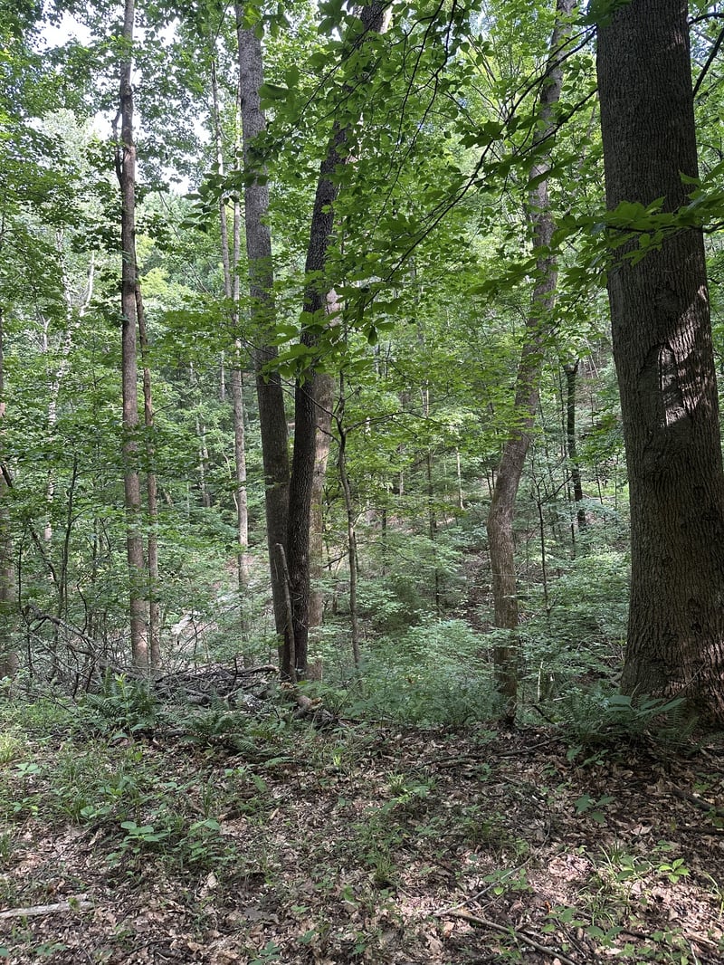 220 Selah Pvt Pa, Gallatin, TN 37066