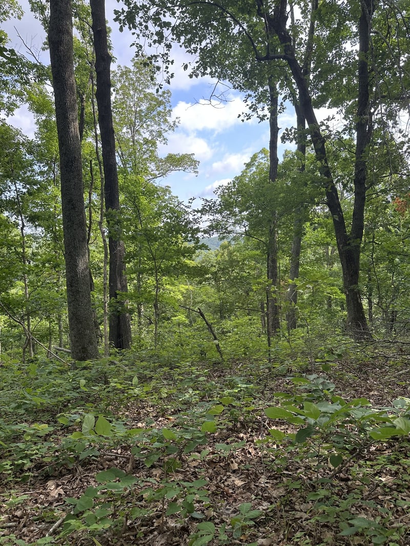 220 Selah Pvt Pa, Gallatin, TN 37066