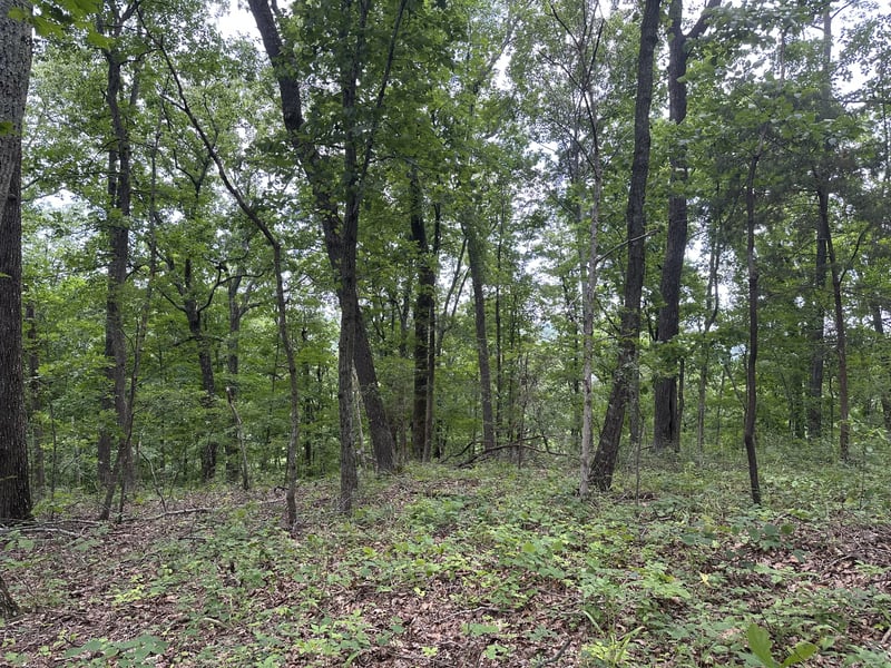 220 Selah Pvt Pa, Gallatin, TN 37066
