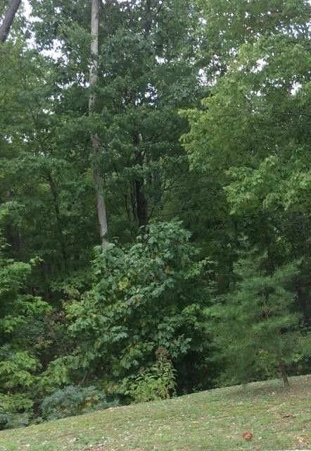 0 Rainbow Falls Ln Lot 19, Sevierville, TN 37862