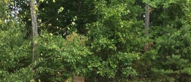 0 Rainbow Falls Ln Lot 18, Sevierville, TN 37862