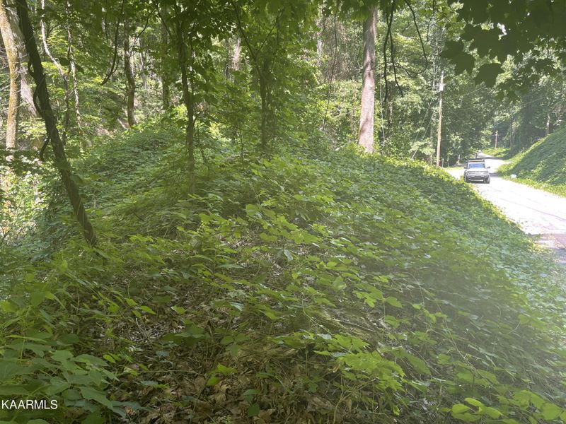 7 Black Walnut Flats Rd Lot 7, Sevierville, TN 37862