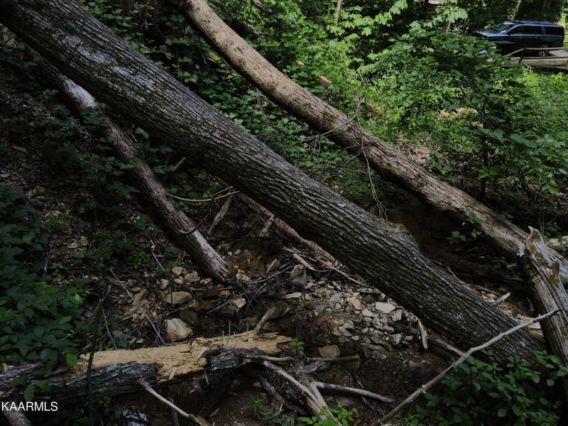 7 Black Walnut Flats Rd Lot 7, Sevierville, TN 37862