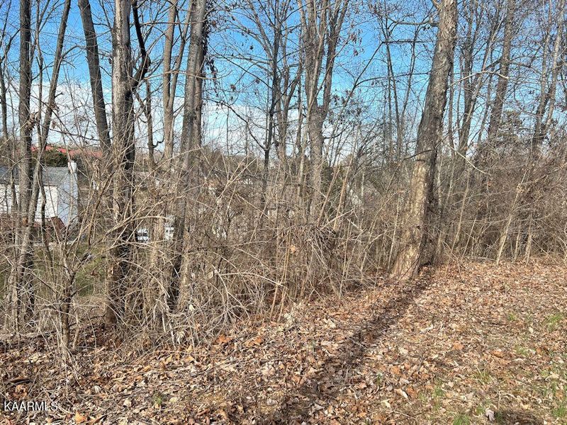 6024 Tennyson Dr Lot 46, Knoxville, TN 37909