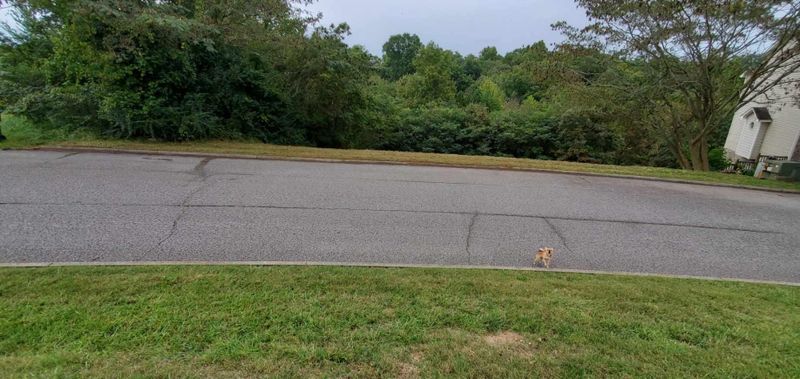 6912 Lake Bluff Ct Lot 27, Knoxville, TN 37920