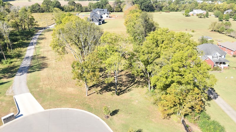 318 Canna Dr, Lascassas, TN 37085