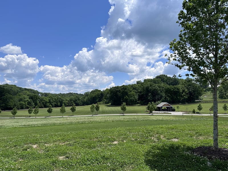 9004 Passiflora Ct Lot 14052, College Grove, TN 37046