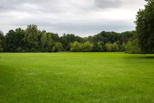 0 Sturgeon Creek Rd Lot #2, Cedar Hill, TN 37032