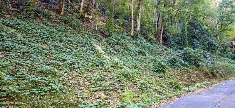 40 Black Walnut Flats Rd Lot 40, Sevierville, TN 37862