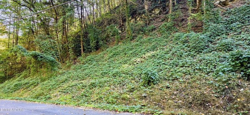 40 Black Walnut Flats Rd Lot 40, Sevierville, TN 37862