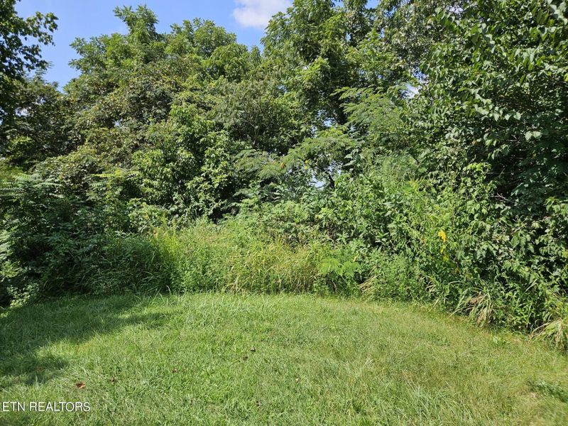 0 Berry Rd, Andersonville, TN 37705