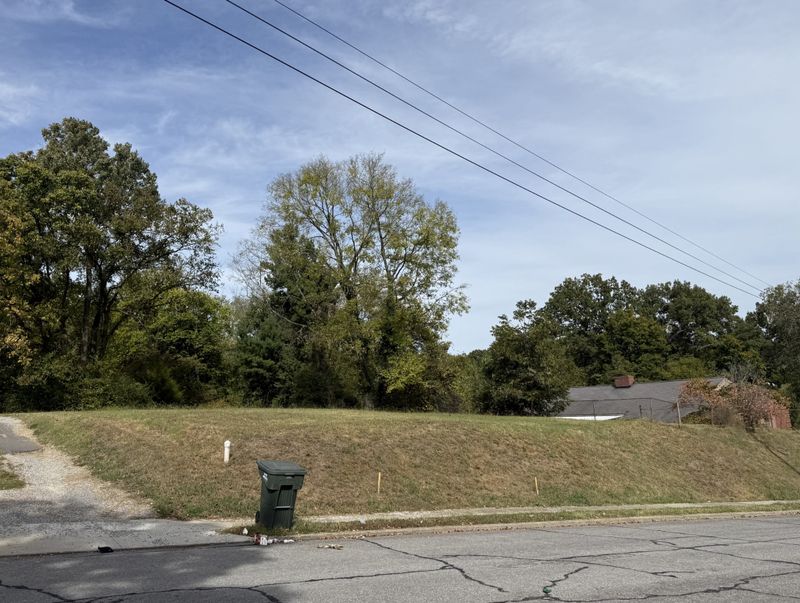 103 Third Ave E, Springfield, TN 37172