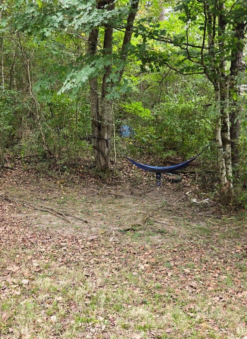 1048 Ross Hollow Rd, Ashland City, TN 37015