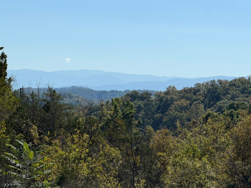 449 Red Cedar Ridge Rd Lot 146, Sevierville, TN 37876