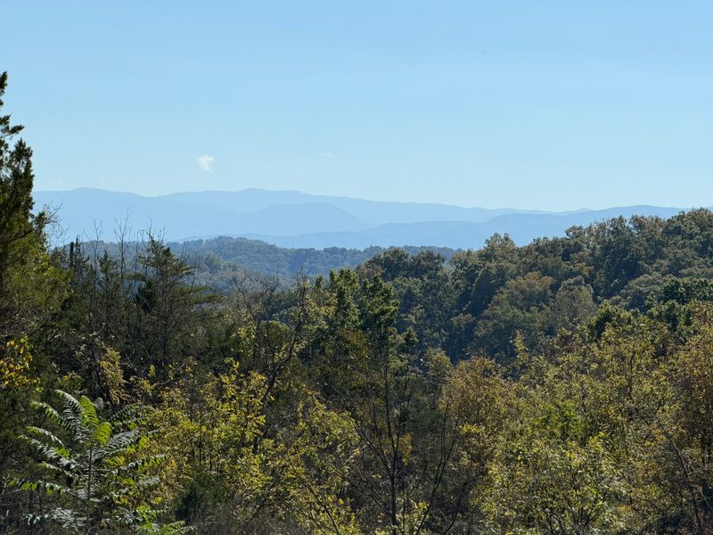 449 Red Cedar Ridge Rd Lot 146, Sevierville, TN 37876