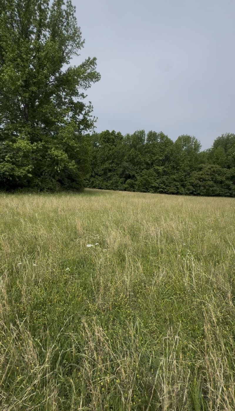 781 Riverview Rd, Mount Juliet, TN 37122