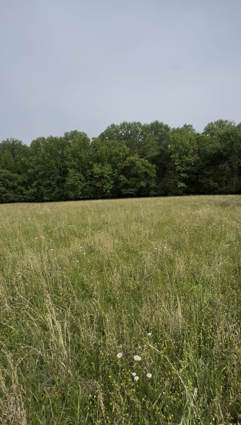 0 Riverview Rd Lot 2, Mount Juliet, TN 37122