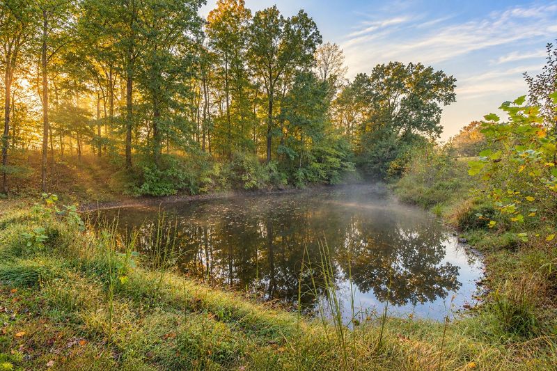 995 Wayne F Mill Rd, Dickson, TN 37055