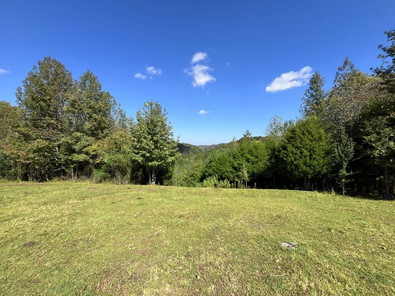 2161 Terrapin Branch Rd, Mount Pleasant, TN 38474