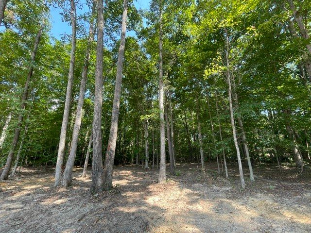 200 Beechwood Ct, Pegram, TN 37143