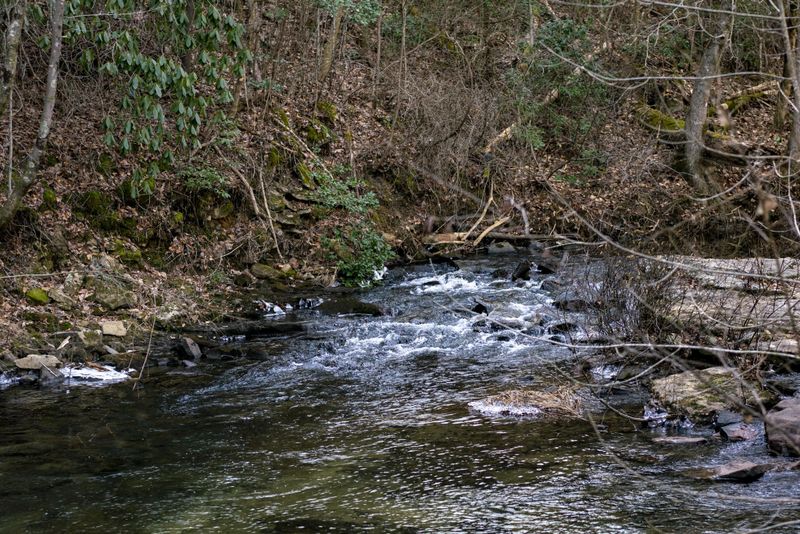 353 Rock Creek Rd, Lookout Mountain, GA 30750