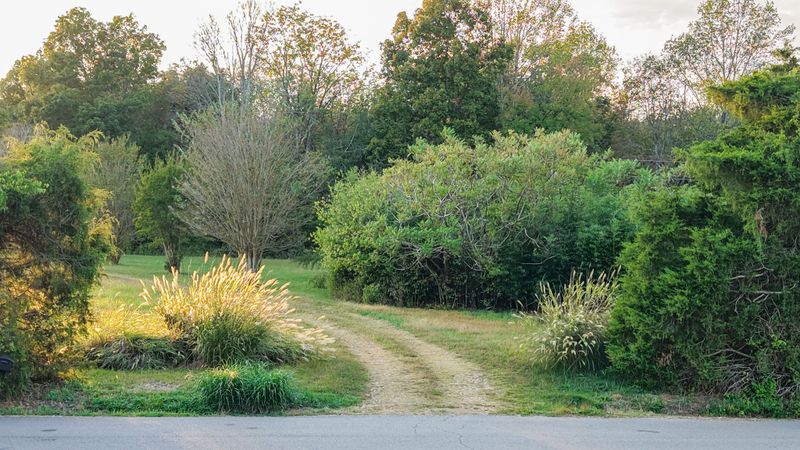 421 Pea Ridge Rd, Westmoreland, TN 37186