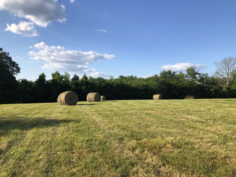 400 Neals Ln, Gallatin, TN 37066