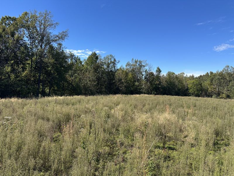 2542 W Mount Vernon Rd Lot 4, Bethpage, TN 37022