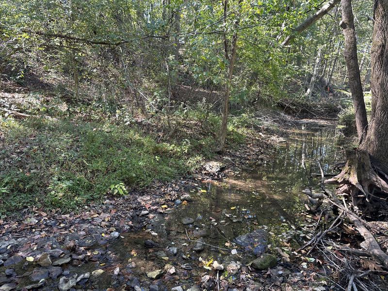 2542 W Mount Vernon Rd Lot 4, Bethpage, TN 37022