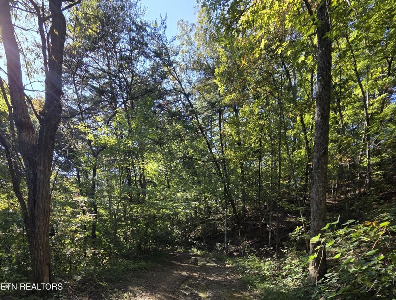 98 Redbud Ln Lot 98, Sevierville, TN 37876