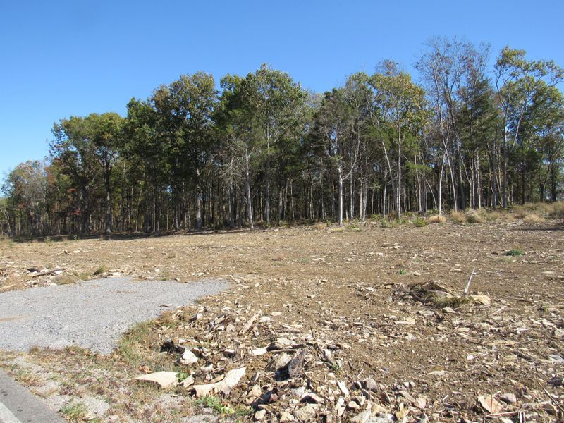 0 Morgan Rd Lot 1, Rockvale, TN 37153