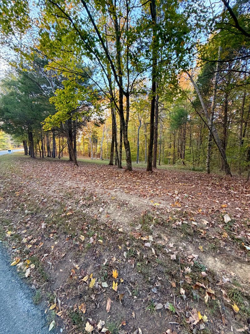 640 Richardson Cemetery Rd Lot 2, White Bluff, TN 37187