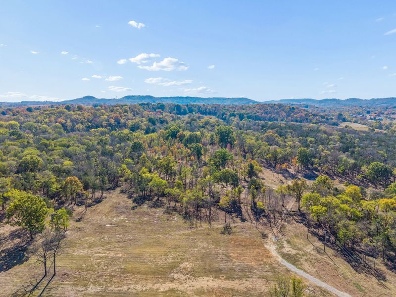 8625 Webb Rd Lot 2, College Grove, TN 37046
