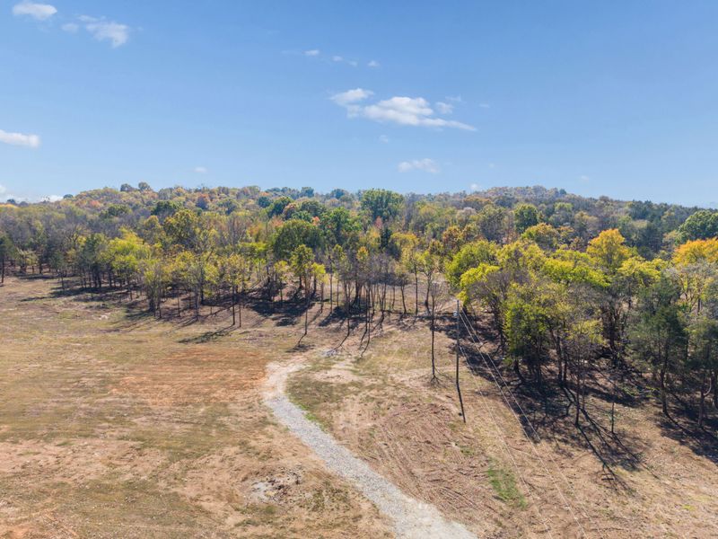 8625 Webb Rd Lot 2, College Grove, TN 37046