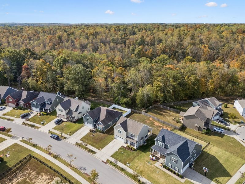1036 Brayden Dr, Fairview, TN 37062