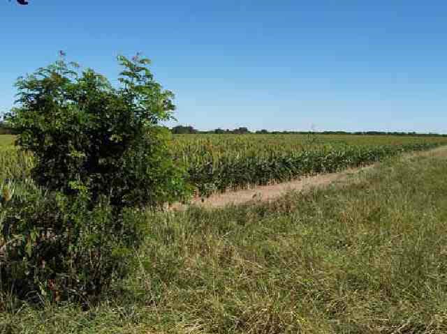 0 75th St South, Rose Hill, KS 67133