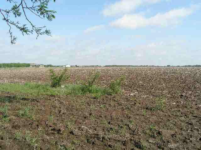 15000 E 79th, Rose Hill, KS 67133