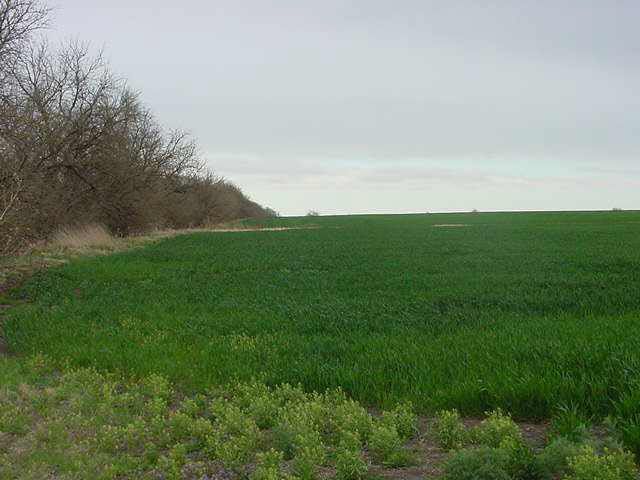 131 E 110th Ave, Clearwater, KS 67026