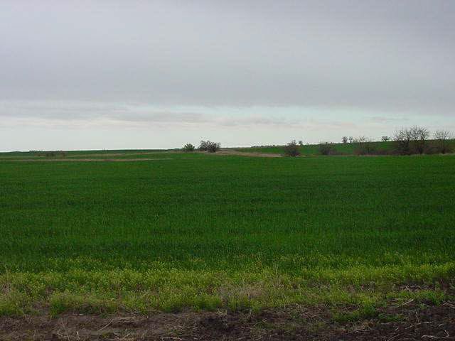 131 E 110th Ave, Clearwater, KS 67026