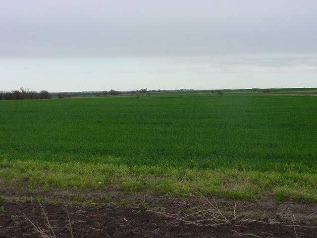 131 E 110th Ave, Clearwater, KS 67026