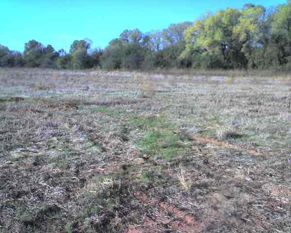 0 SE 70th, Rago, KS 67142