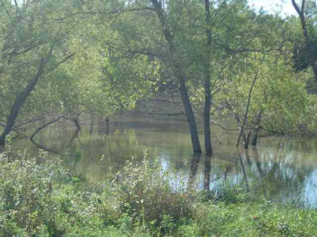 0 SW 190, Rose Hill, KS 67133