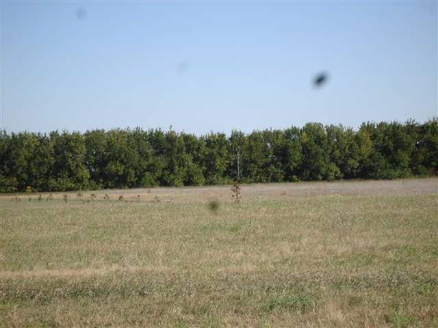 2640 S Leo Ct, Goddard, KS 67052