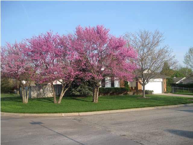 320 N Covington, Wichita, KS 67212