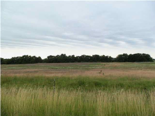 0 Leo, Goddard, KS 67052