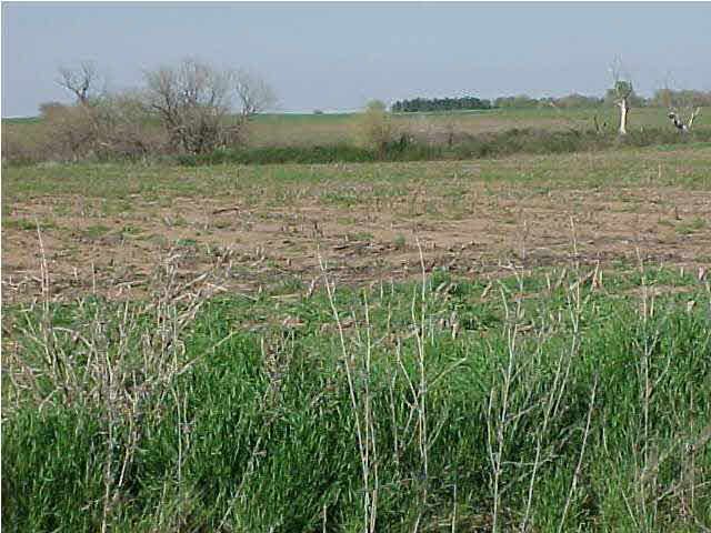 0 NW 60 Ave, Attica, KS 67009