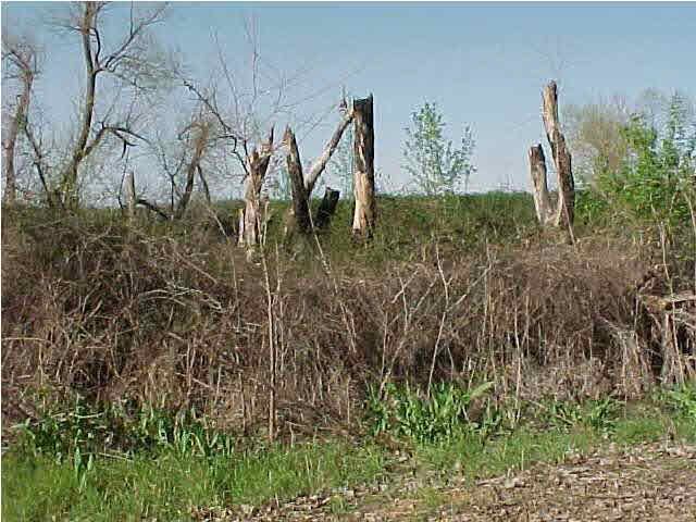 0 NW 60 Ave, Attica, KS 67009