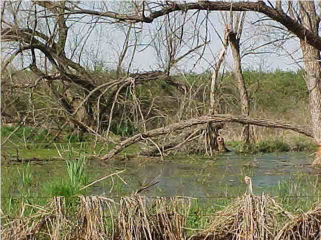 0 NW 60 Ave, Attica, KS 67009