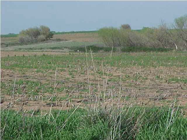 0 NW 60 Ave, Attica, KS 67009