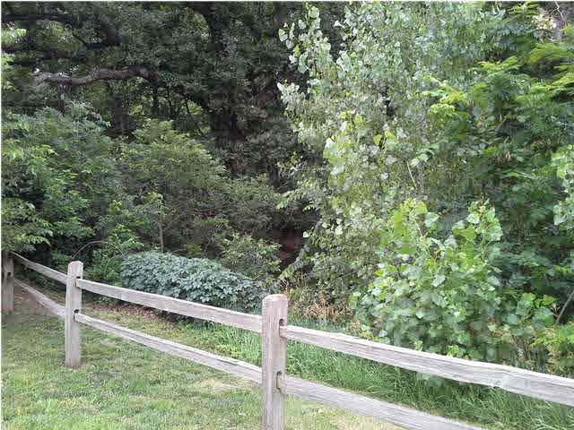 801 N Brook Forest Rd, Derby, KS 67037